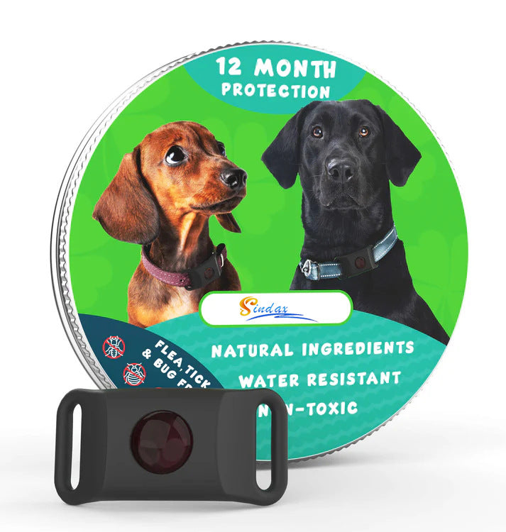 Natural Flea Collar for Dogs & Cats