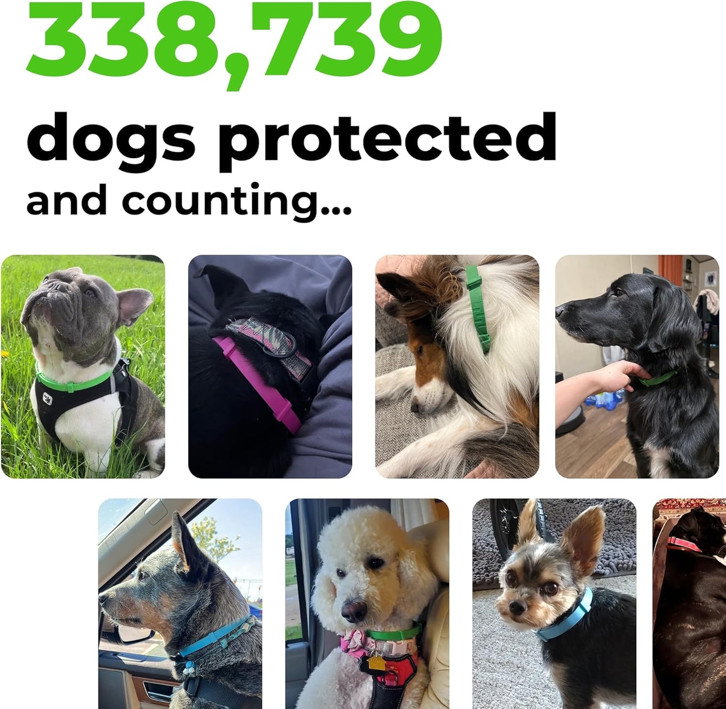 Black Dog Collar - Waterproof Pet Collar for Dogs, Safe for All Breeds