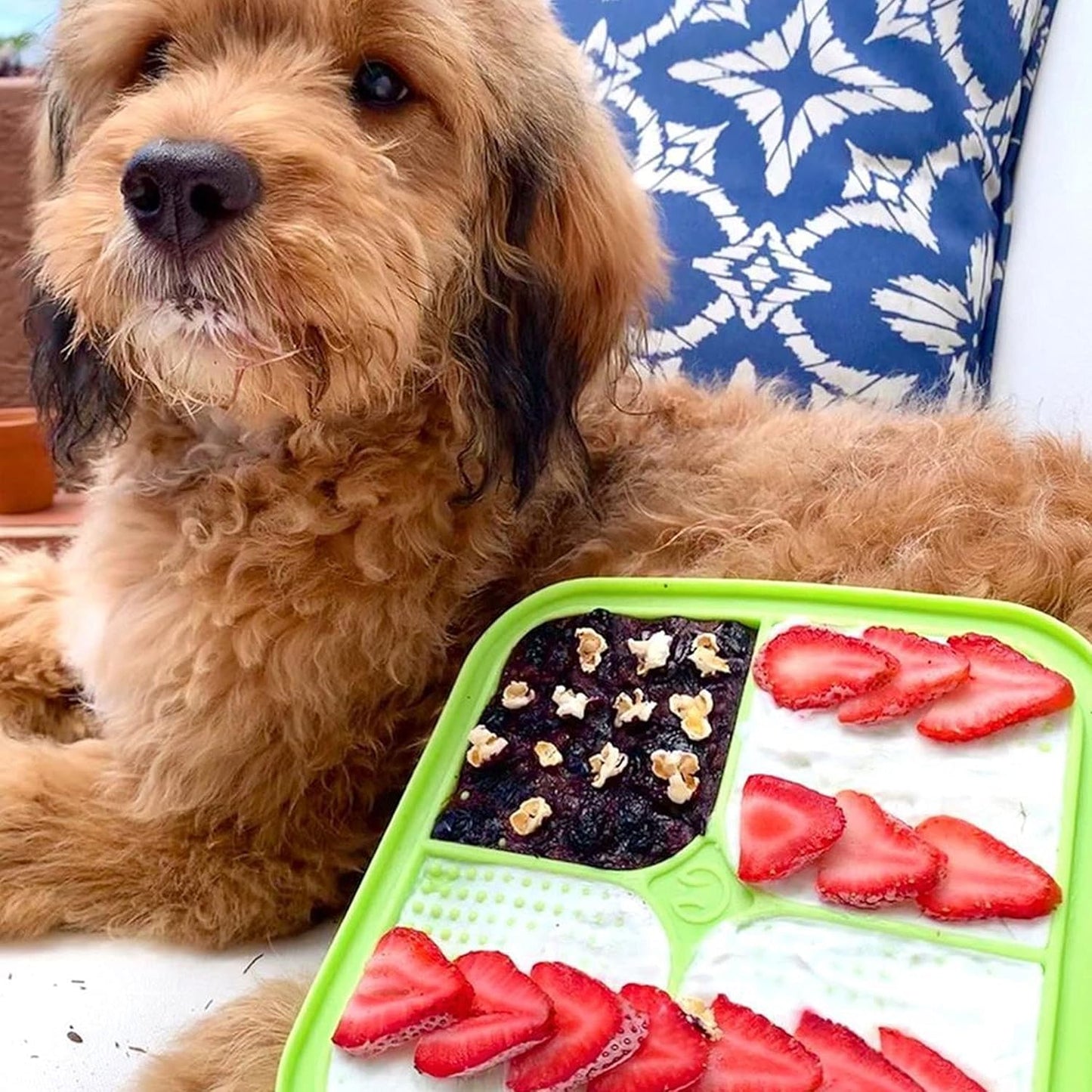 IQ Treat Lick Mat for Dogs & Cats