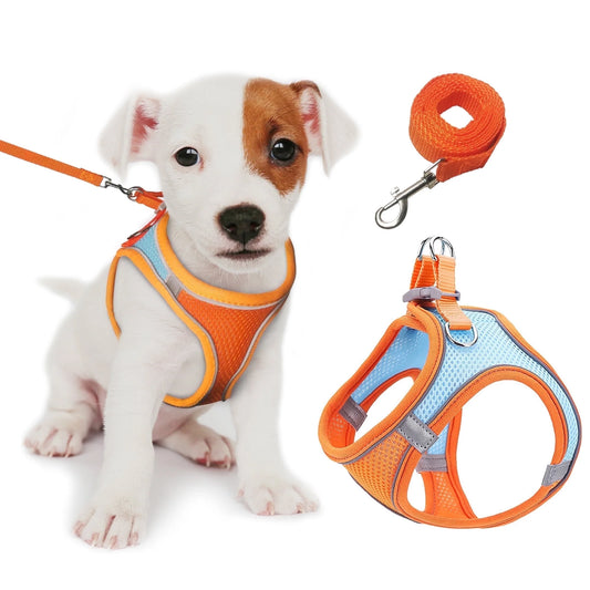 , Puppy Harness for Small Dogs Cats,