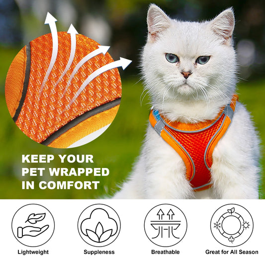 , Puppy Harness for Small Dogs Cats,